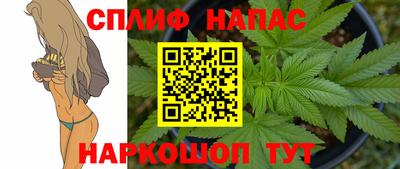 сатива Камышлов
